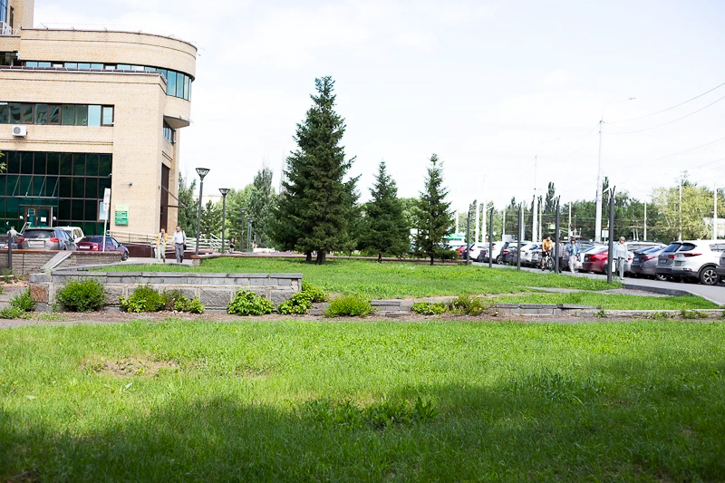 Изображения.