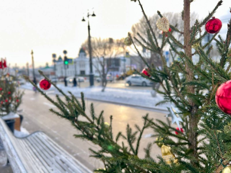 Фото: Анастасия Цой.