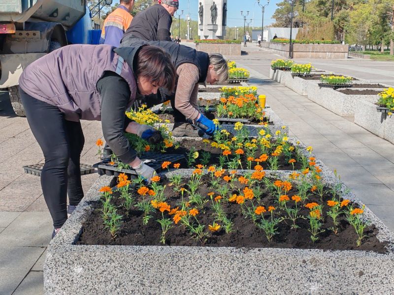 В Омске начались весенние посадки цветов.