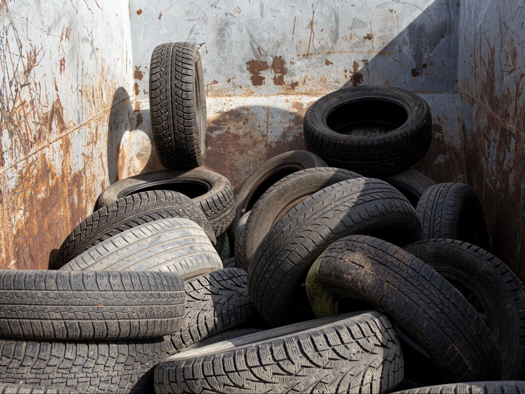 Фото: Алина Юсупова.