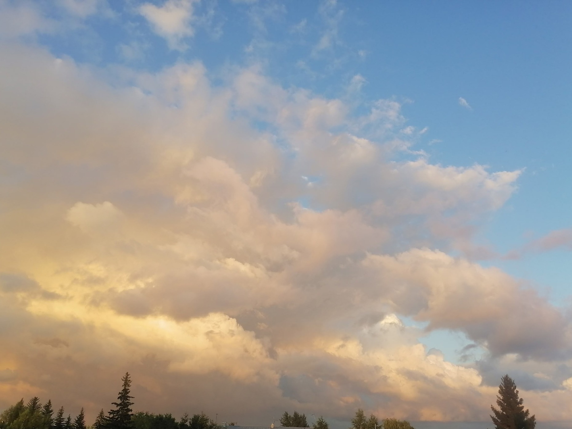Фото: Полина Юхлина.