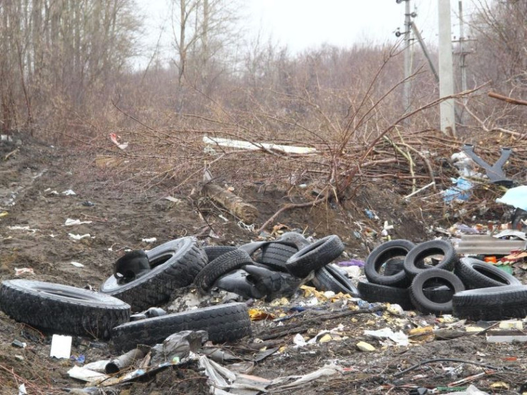 Нарушителей правил утилизации мусора с начала года оштрафовали на 2,7 млн рублей.